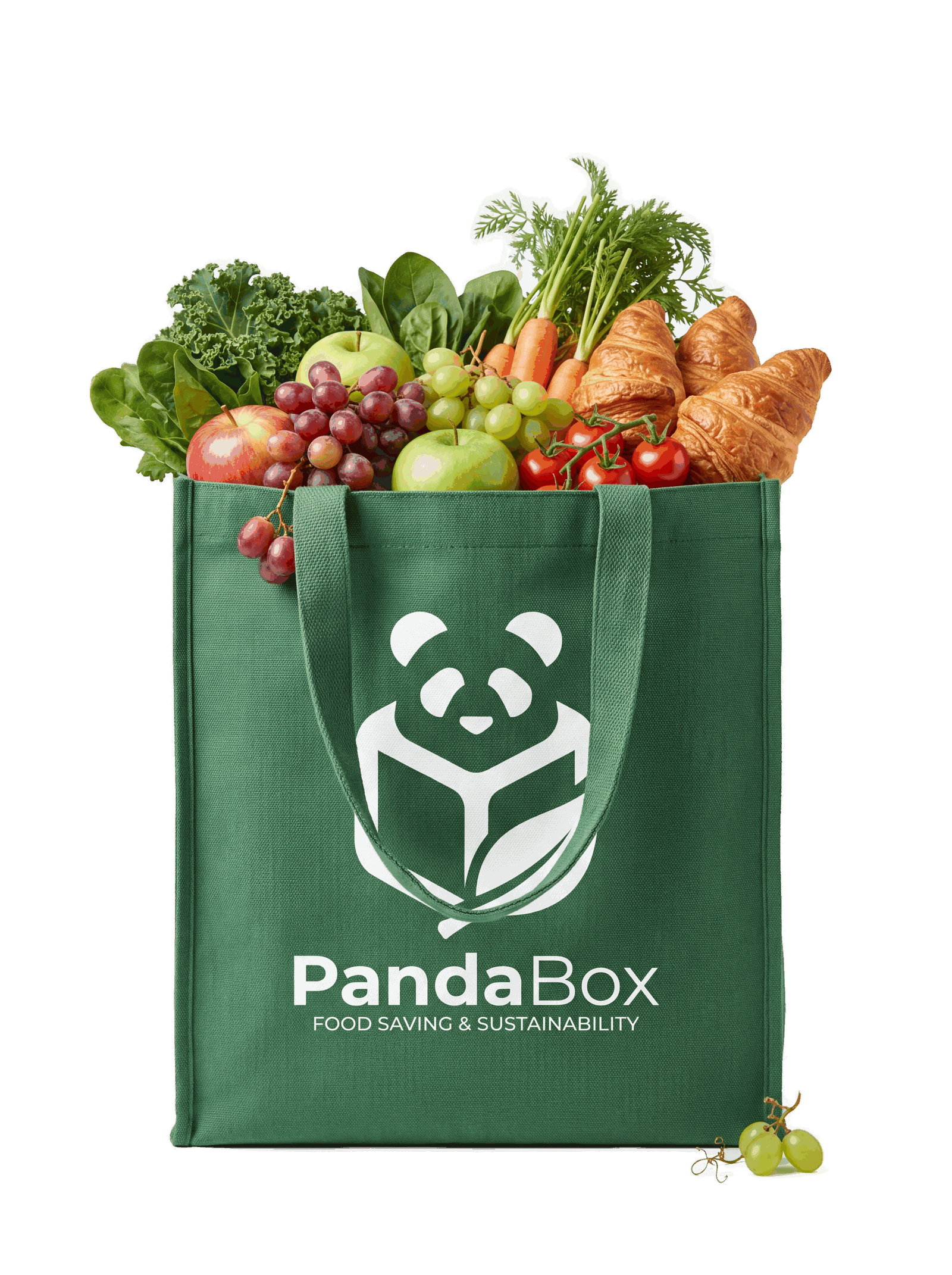 PandaBox Green Bag with Fresh Healthy Food