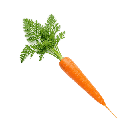 Carrot